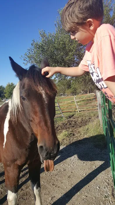 Animal Health Center Picture 7