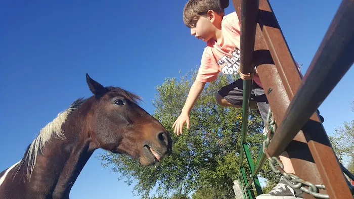 Animal Health Center Picture 8