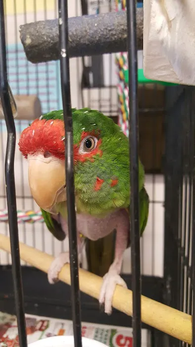 Animal Health Center Picture 9