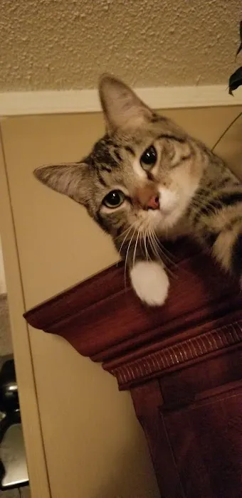 Baldwin Hilltop Animal Health Picture 1