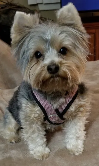 Baldwin Hilltop Animal Health Picture 3