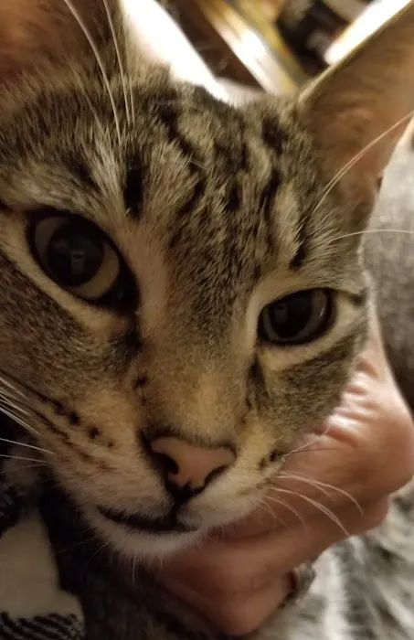 Baldwin Hilltop Animal Health Picture 5