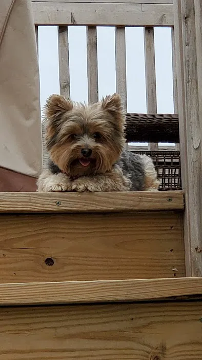 Baldwin Hilltop Animal Health Picture 2