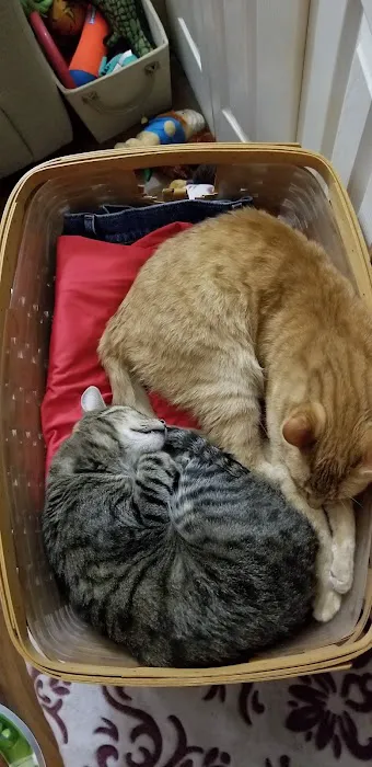 Baldwin Hilltop Animal Health Picture 4