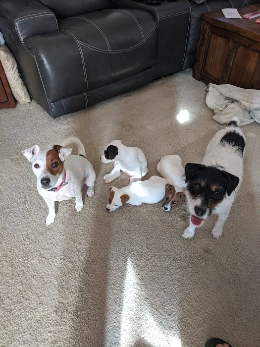 Baldwin Hilltop Animal Health Picture 10