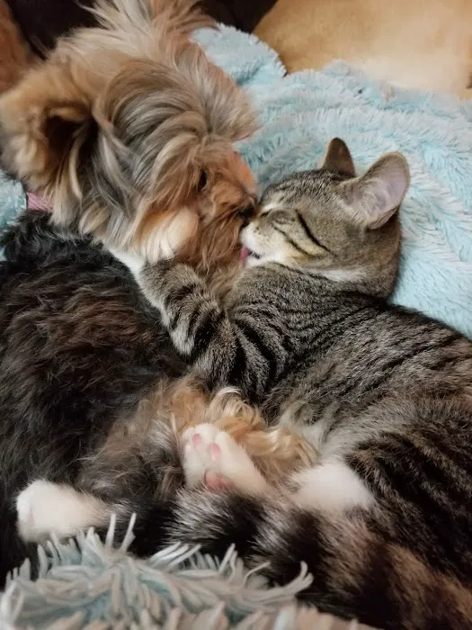 Baldwin Hilltop Animal Health Picture 6