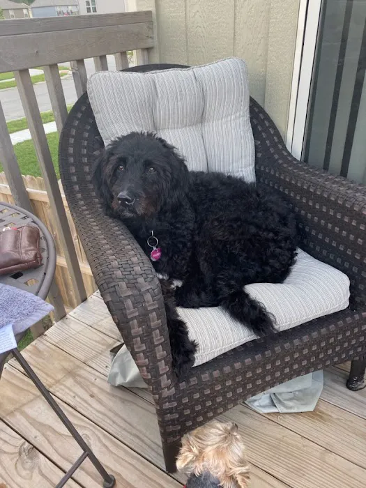 Baldwin Hilltop Animal Health Picture 7