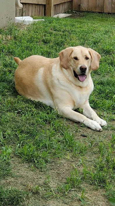 Baldwin Hilltop Animal Health Picture 8