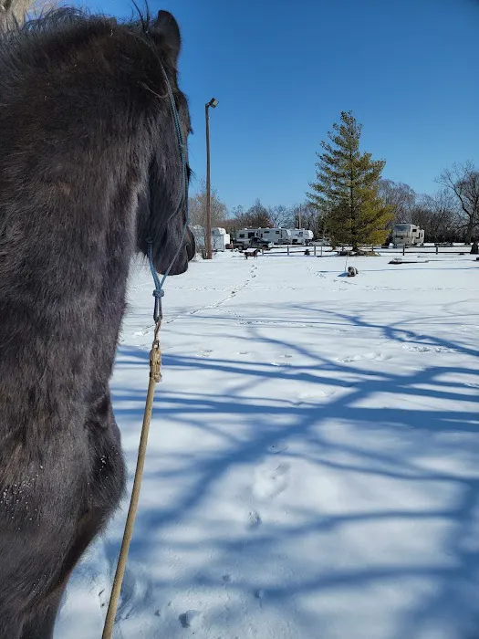 Baldwin City Companion Animal Hospital Picture 2
