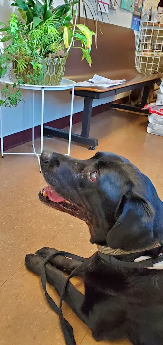 Baldwin City Companion Animal Hospital Picture 6