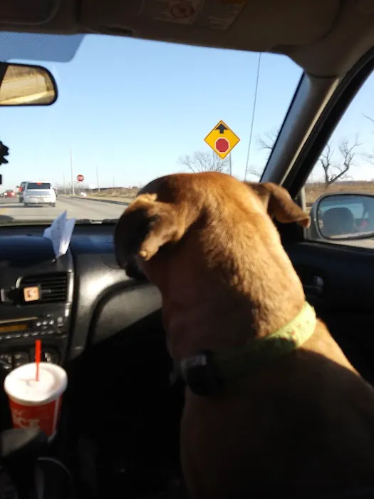 Ottawa Veterinary Hospital Picture 1