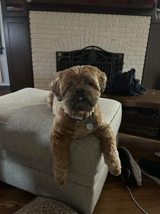 Ottawa Veterinary Hospital Picture 3