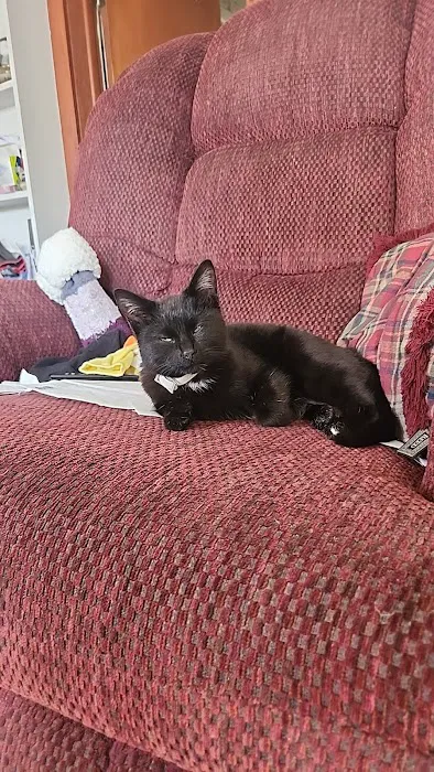 Ottawa Veterinary Hospital Picture 2