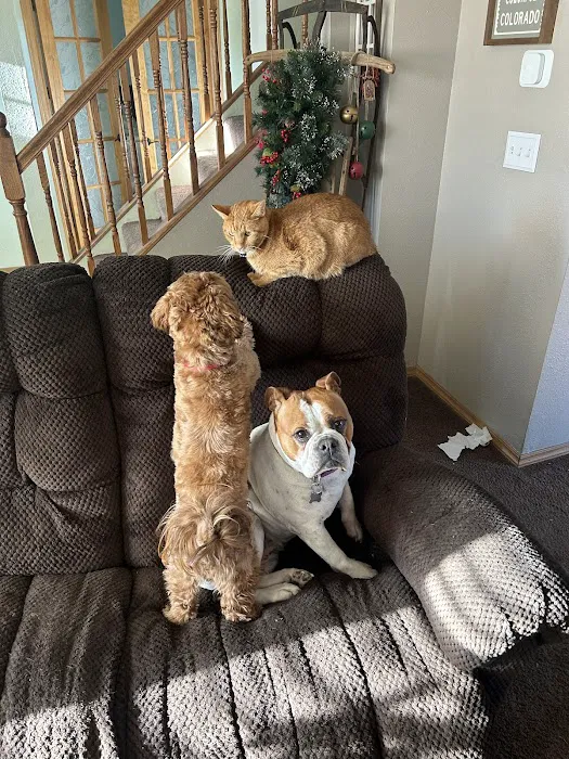 Ottawa Veterinary Hospital Picture 4