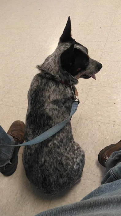 Ottawa Veterinary Hospital Picture 7