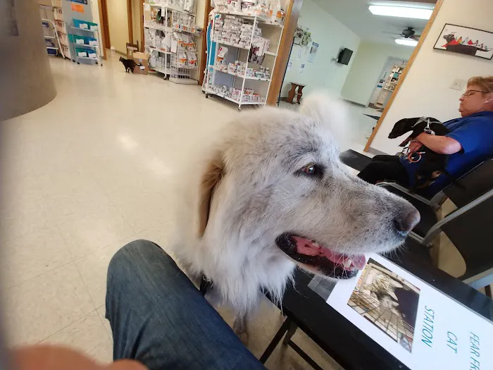 Ottawa Veterinary Hospital Picture 5