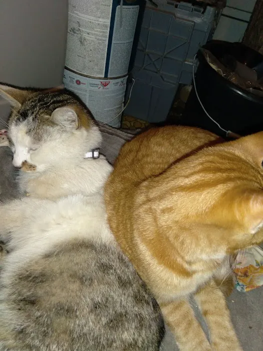 Ottawa Veterinary Hospital Picture 6