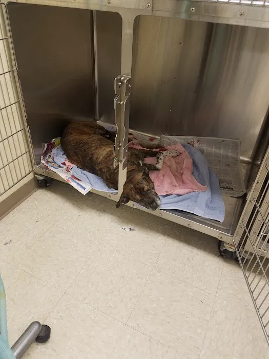 Ottawa Veterinary Hospital Picture 9