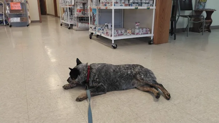 Ottawa Veterinary Hospital Picture 10