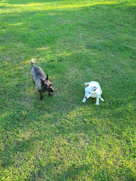 Hessman Mobile Veterinary Services Picture 6