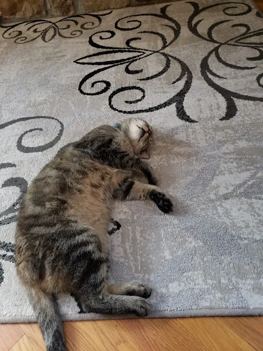 Ash Grove Veterinary Clinic Picture 4