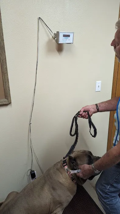 Ash Grove Veterinary Clinic Picture 3