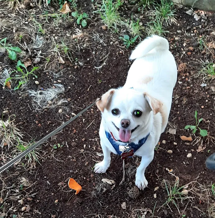 Ash Grove Veterinary Clinic Picture 5