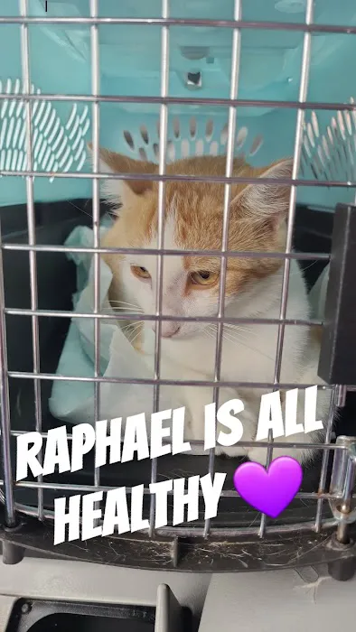 Ash Grove Veterinary Clinic Picture 9