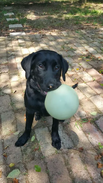 Ash Grove Veterinary Clinic Picture 6