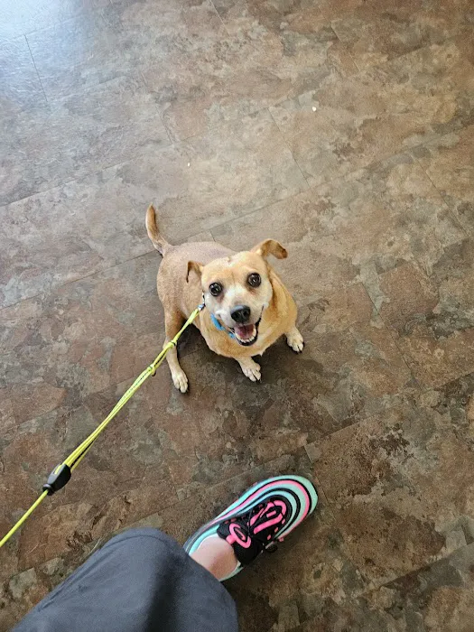 Ash Grove Veterinary Clinic Picture 10