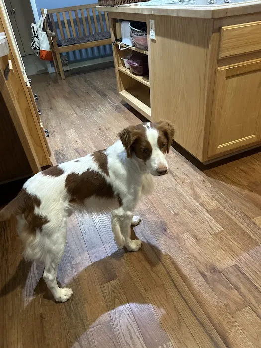 Spring Valley Veterinary Hospital - WEST Picture 1