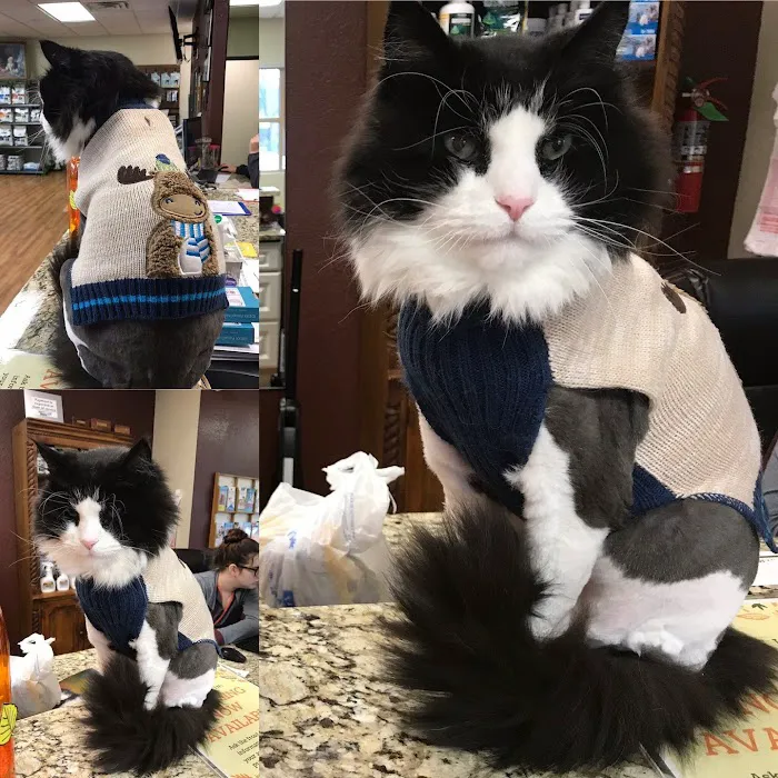 Spring Valley Veterinary Hospital - WEST Picture 5