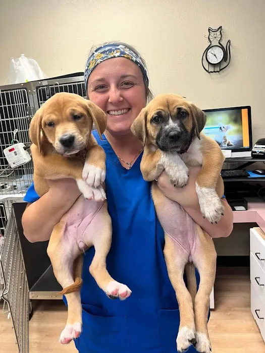 Spring Valley Veterinary Hospital - WEST Picture 9