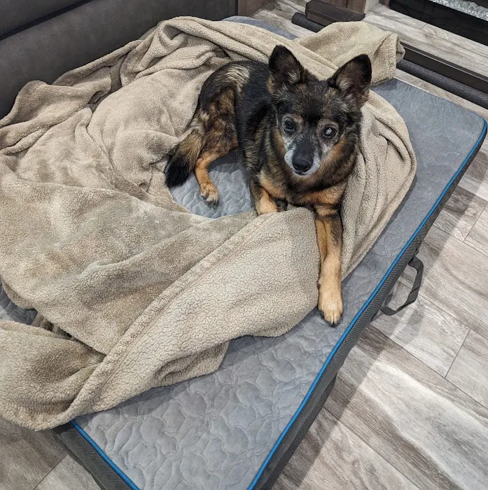 Whetstone Veterinary Clinic Picture 4