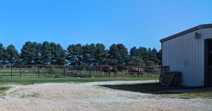 Whetstone Veterinary Clinic Picture 1