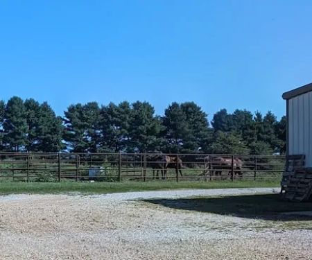 Whetstone Veterinary Clinic