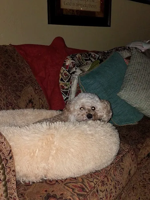 Whetstone Veterinary Clinic Picture 9