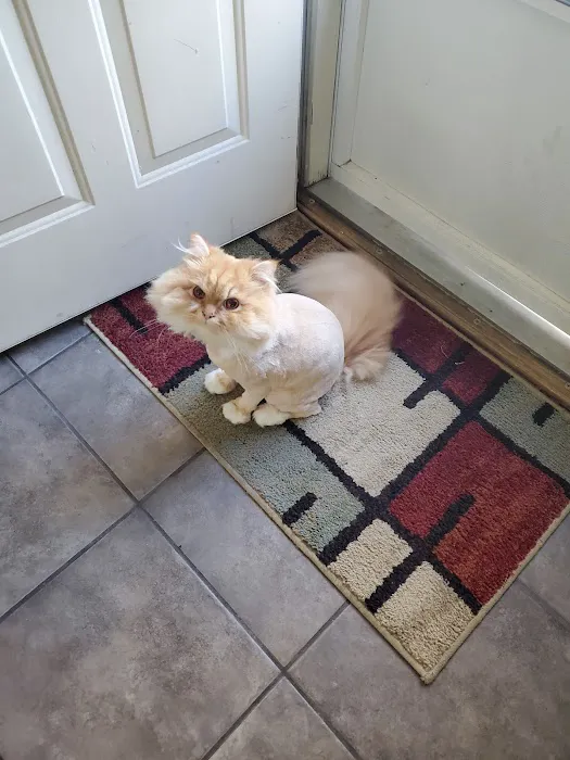 Whetstone Veterinary Clinic Picture 8