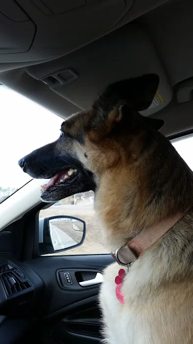 Mountain Grove Veterinary Clinic Picture 2