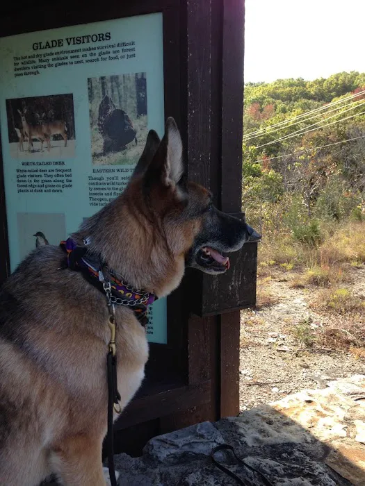 Country Hills Animal Hospital Picture 4