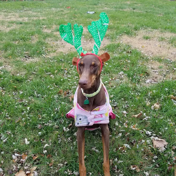 Country Hills Animal Hospital Picture 9