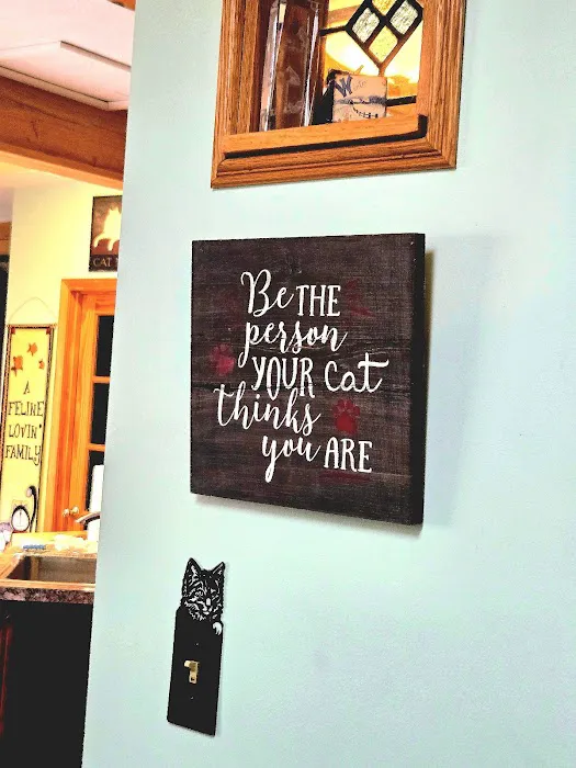 Pampurred Cat Picture 3