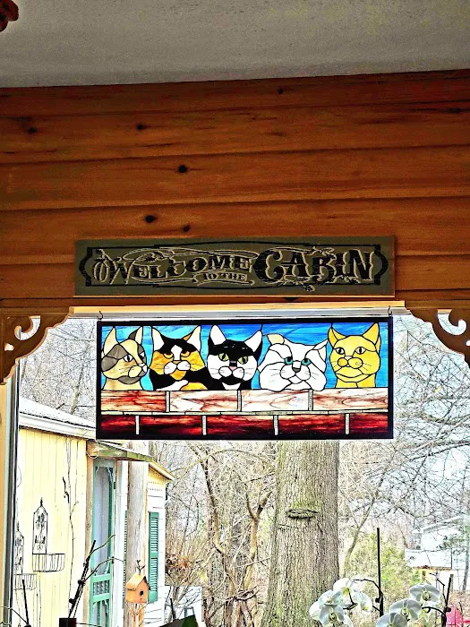 Pampurred Cat Picture 6