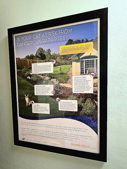 Pampurred Cat Picture 8