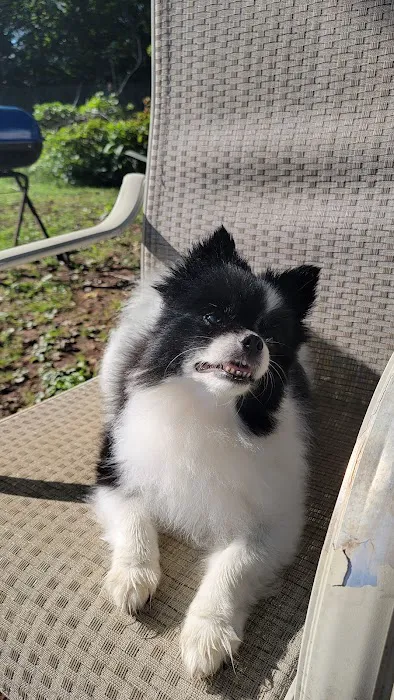 Gentle Care Animal Hospital Picture 1