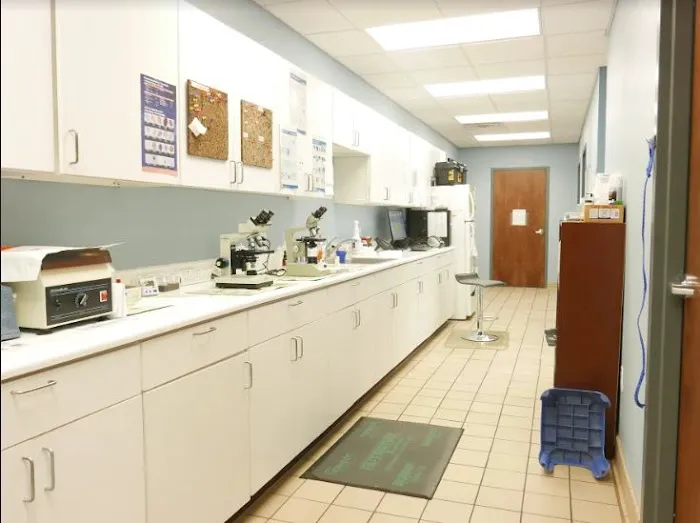 Gentle Care Animal Hospital Picture 7