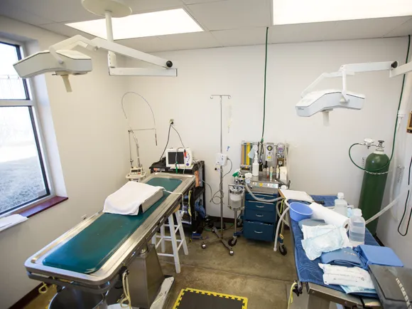 Gentle Care Animal Hospital Picture 6