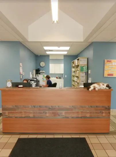 Gentle Care Animal Hospital Picture 9