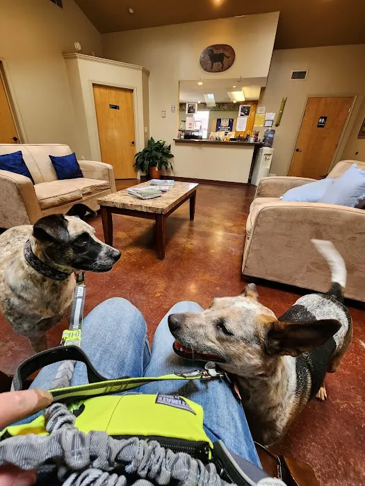 James River Animal Hospital Picture 1