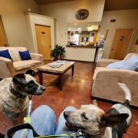 James River Animal Hospital ico